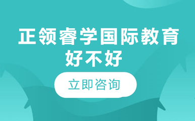 北京正領睿學國際教育 以創(chuàng)意策劃服務賦能未來教育